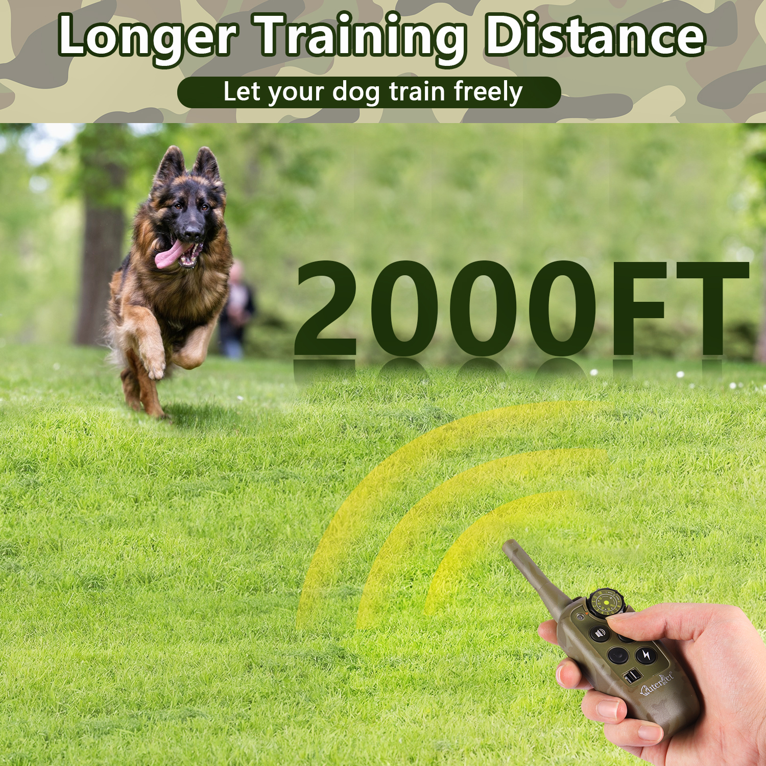 1000m Electric Dog Training Co - Hot Dog Press reseña y precio