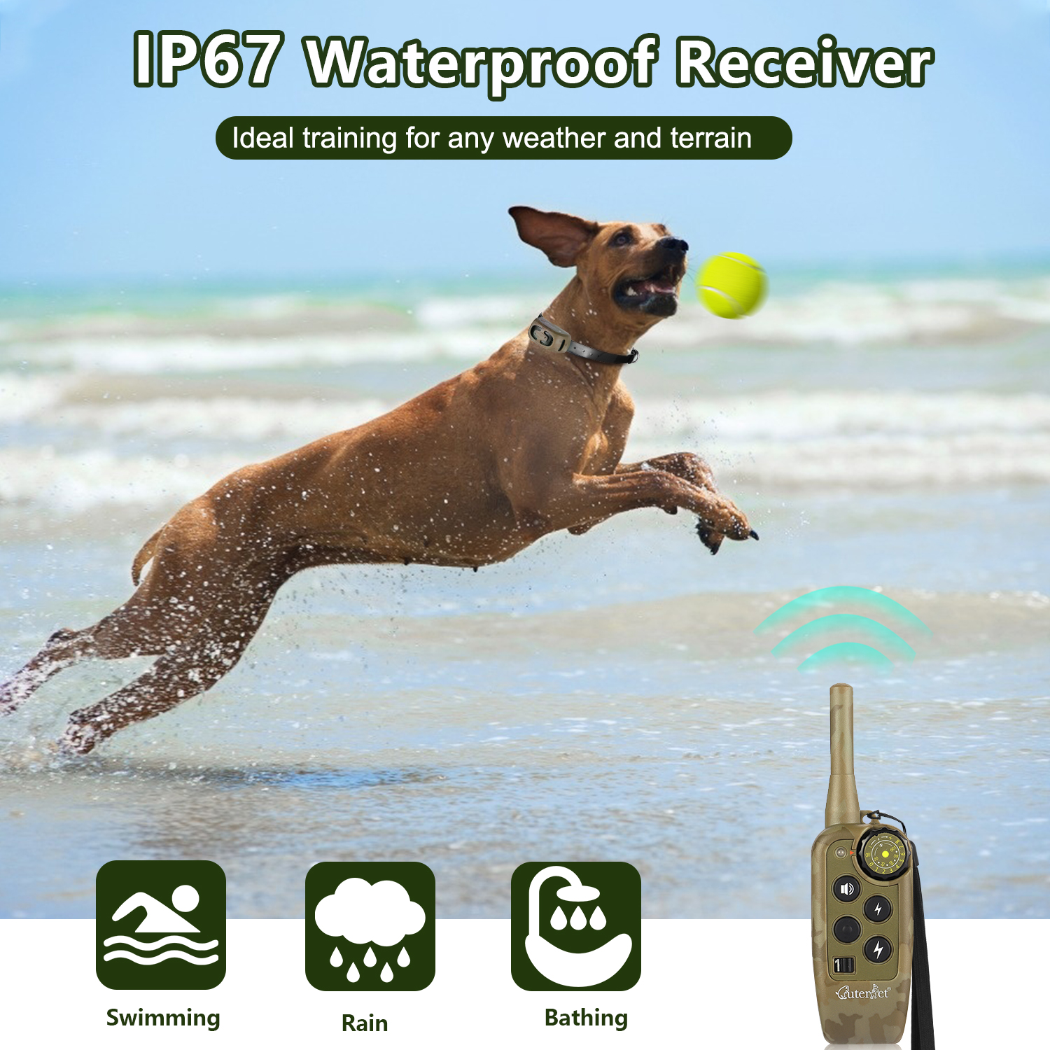 1000m Electric Dog Training Co - Hot Dog Press reseña y precio