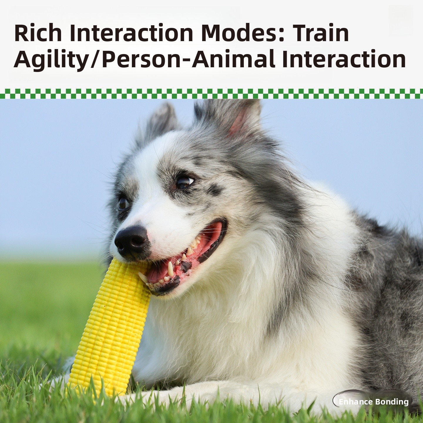 QZee Durable ETPU Corn Dog Toy - Corn Dog Stick reseña y precio