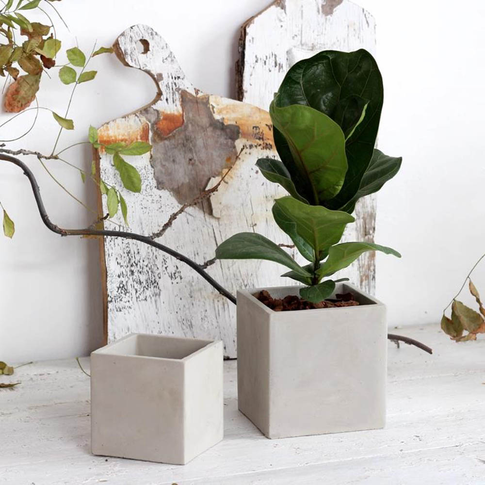 Large Square Flowerpot Silicon - Potsticker Mold reseña y precio