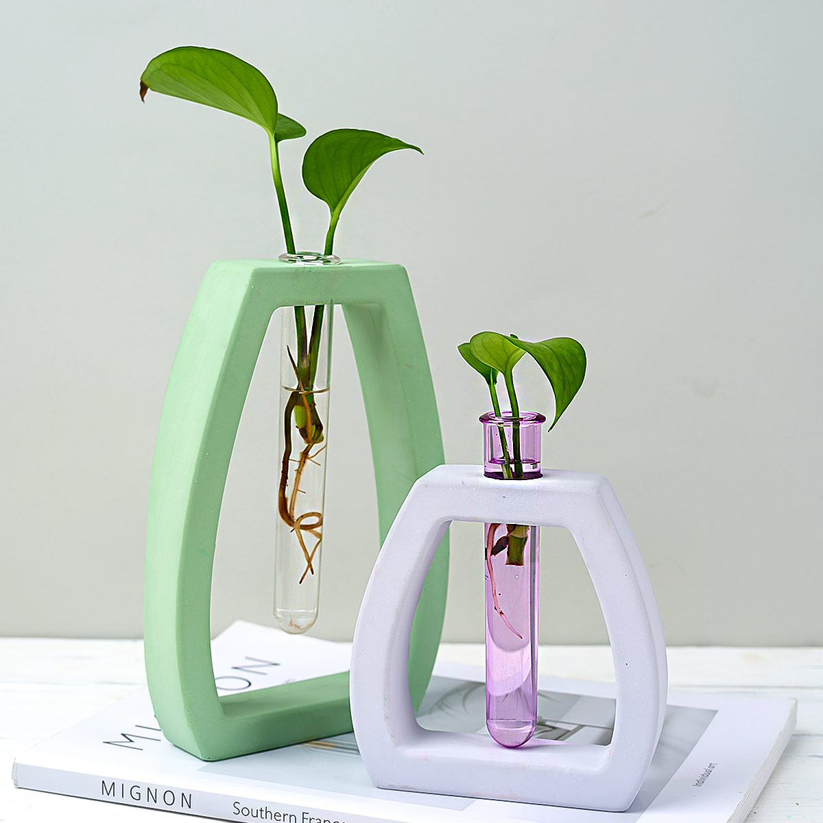 Hydroponic Test Tube Vase Sili - Potsticker Mold reseña y precio