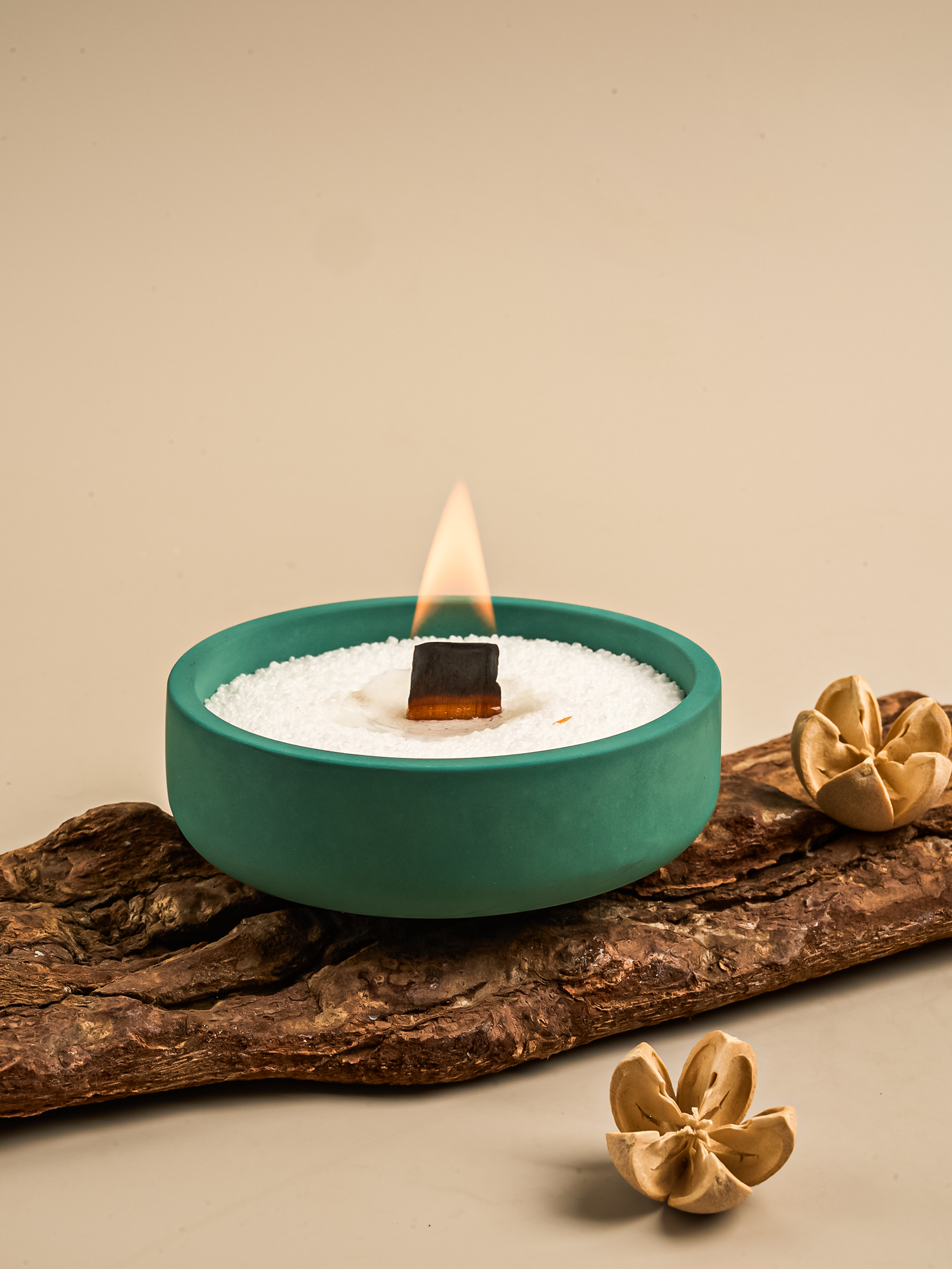 Nordic Round Storage Bowl Ceme - Potsticker Mold reseña y precio