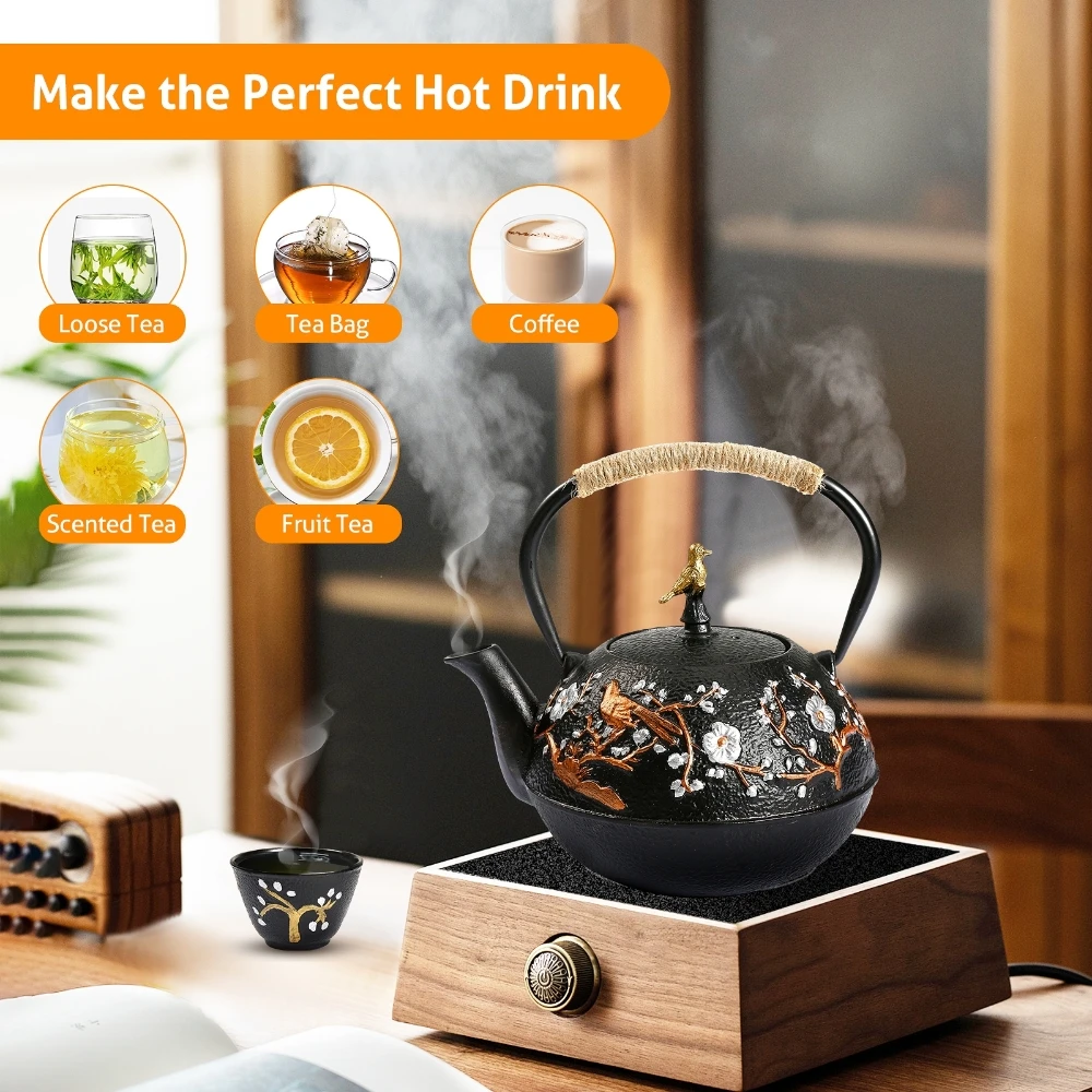 Cast Iron Teapot Set with Alco - Cast Iron Corn reseña y precio